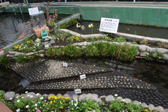 (株)藤井養蜂場　フジイのはちみつ直売店-9