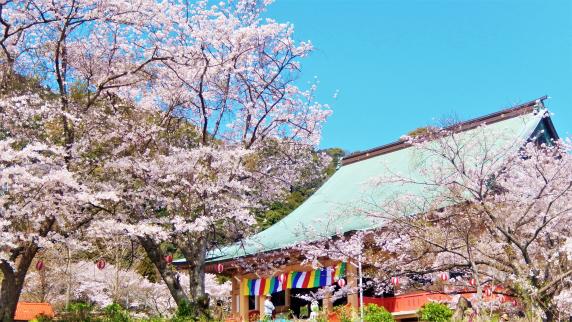 成田山不動寺　春まつり-0