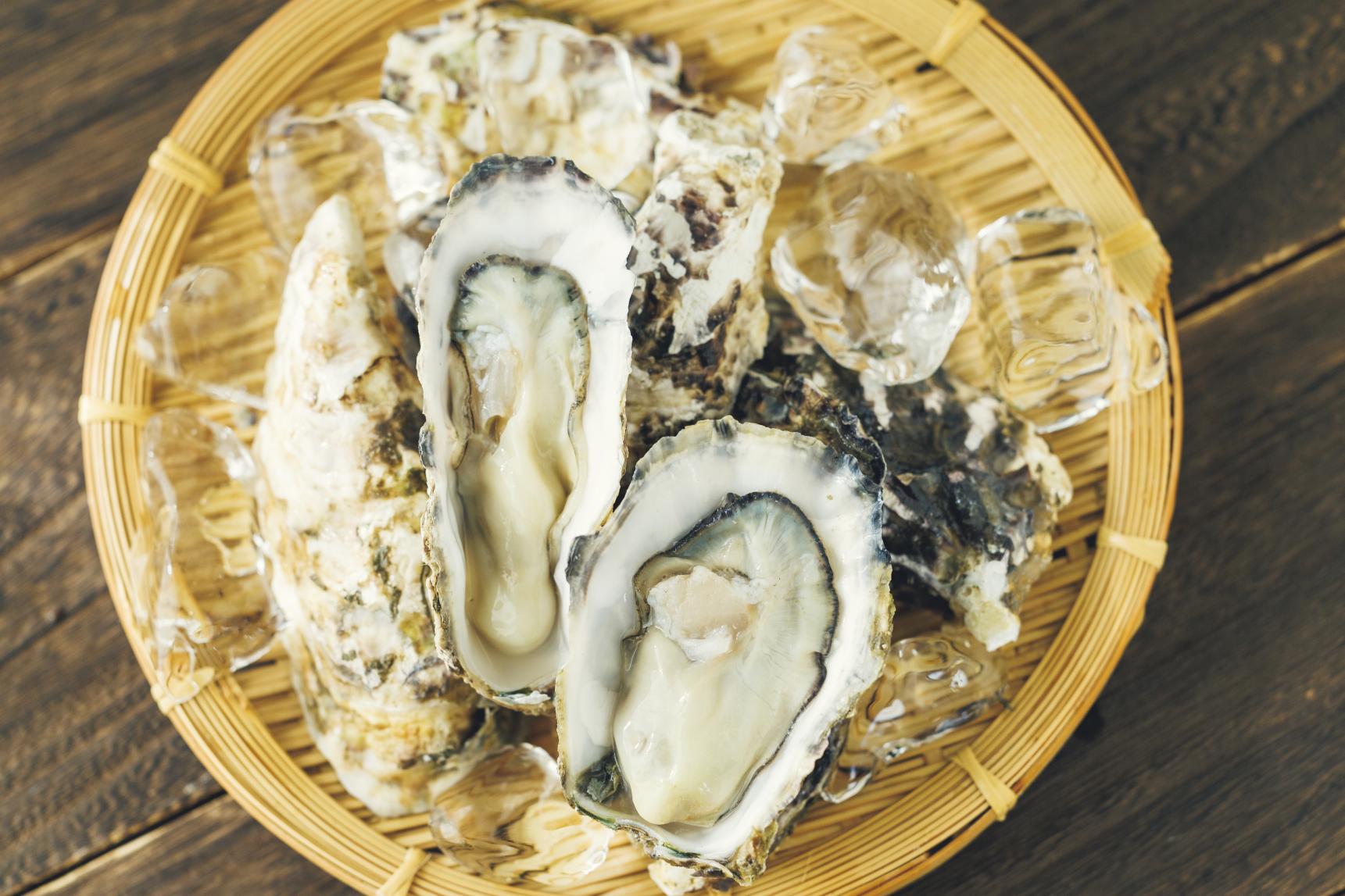 Itoshima Oyster House-1