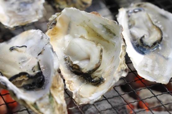 Itoshima Oyster House-3