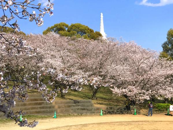 延命公園・甘木山（大牟田市）-0