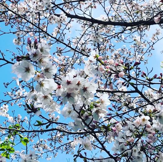 延命公園・甘木山（大牟田市）-5