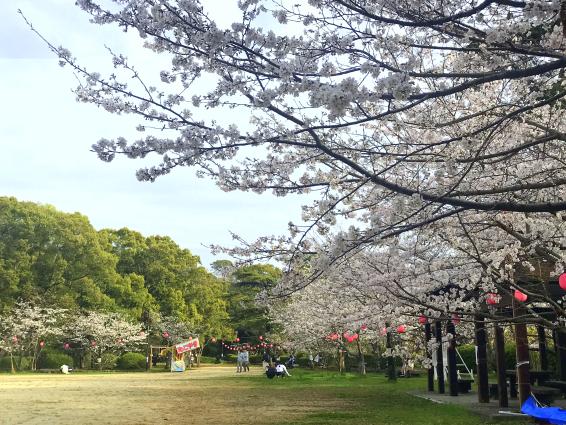 延命公園・甘木山（大牟田市）-1