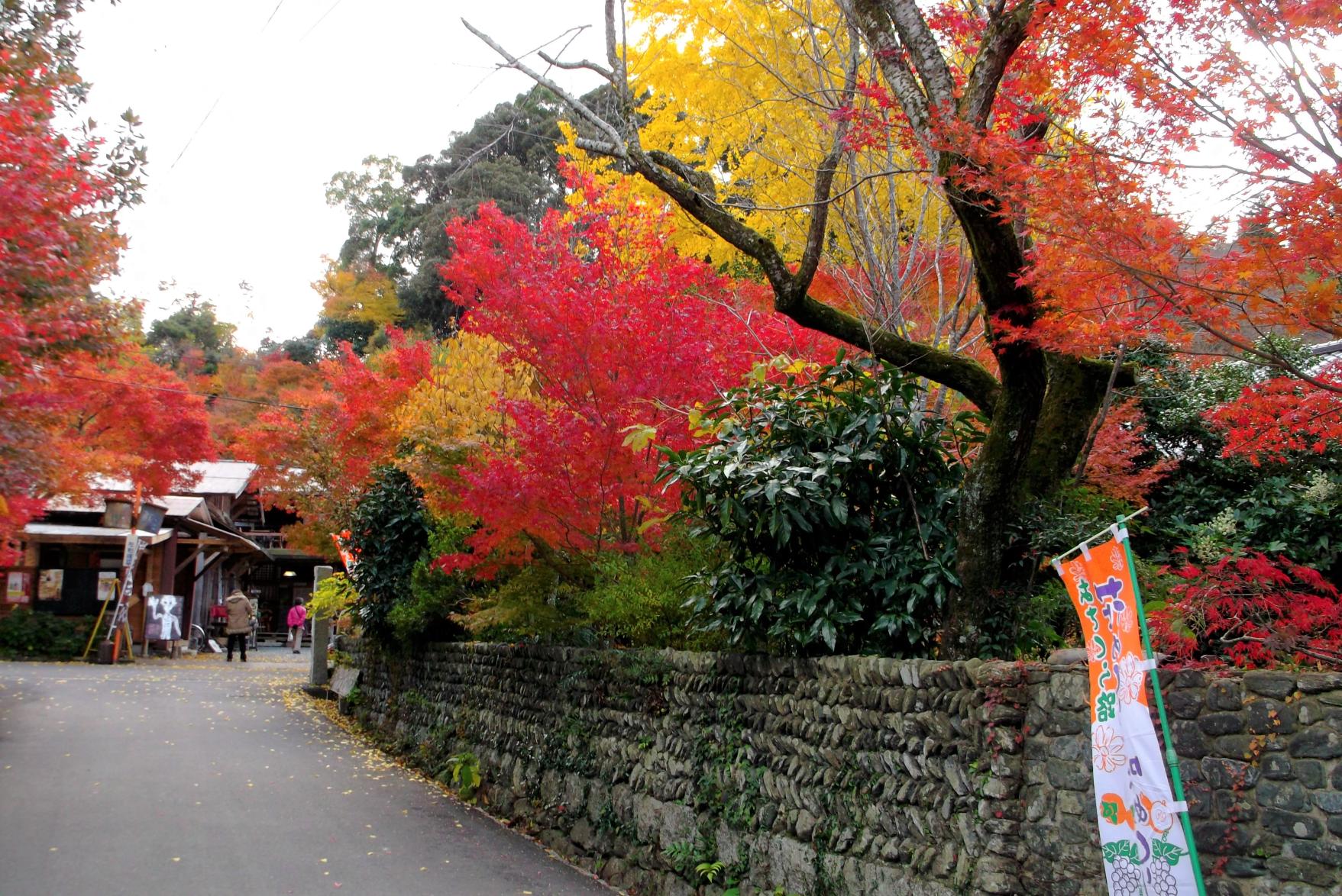 浪漫之道-1