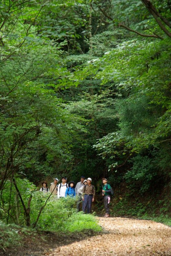 森林セラピー基地篠栗-0