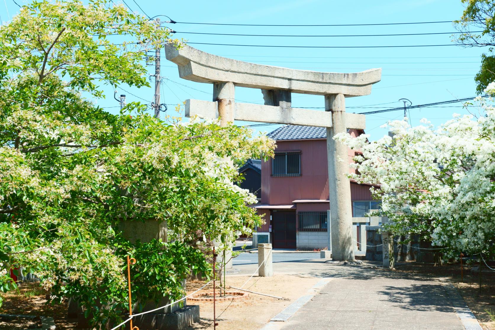 岡朱神社-1