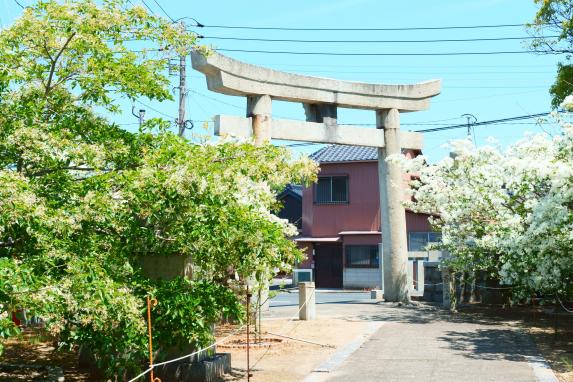 岡朱神社-1