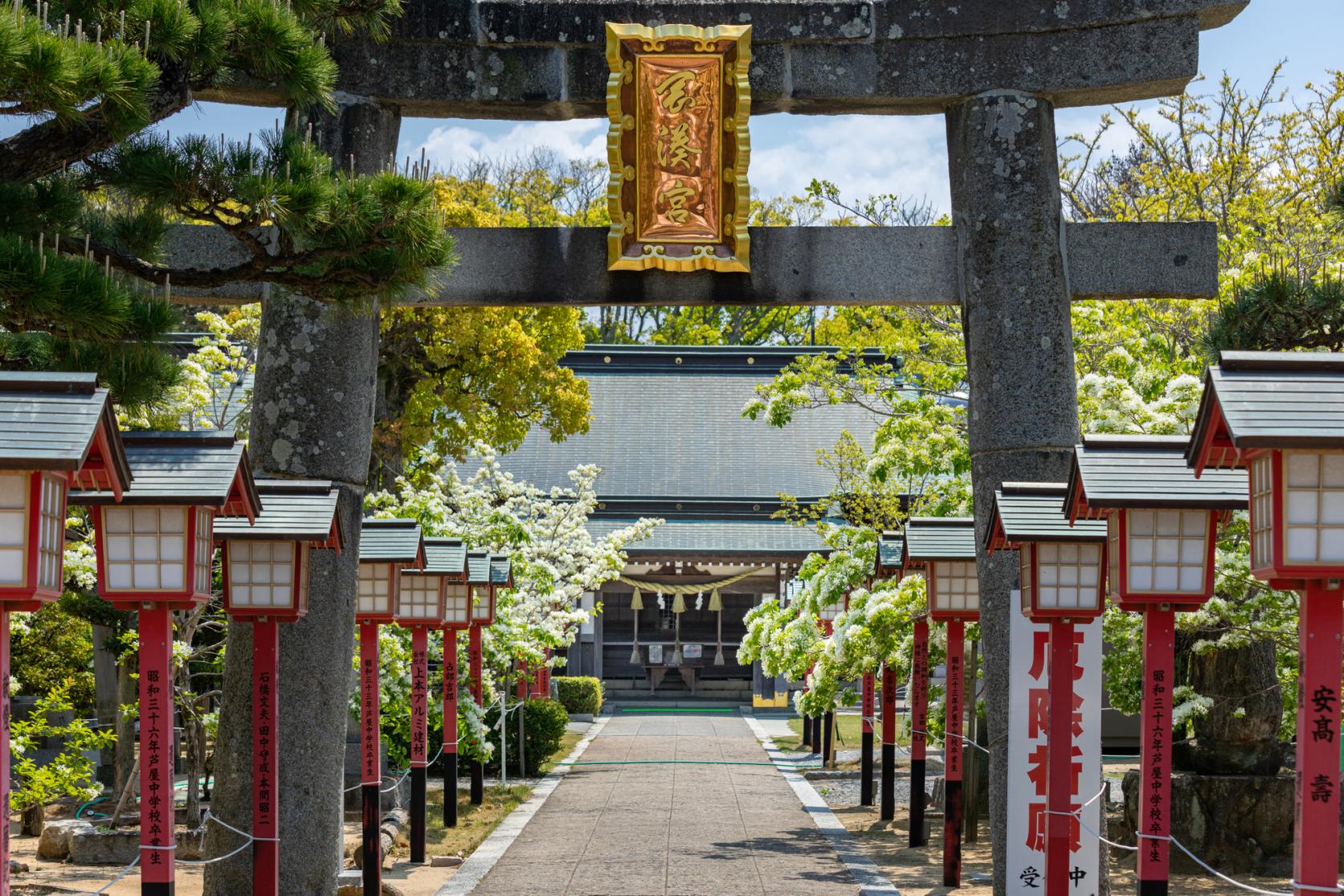 岡湊神社-2