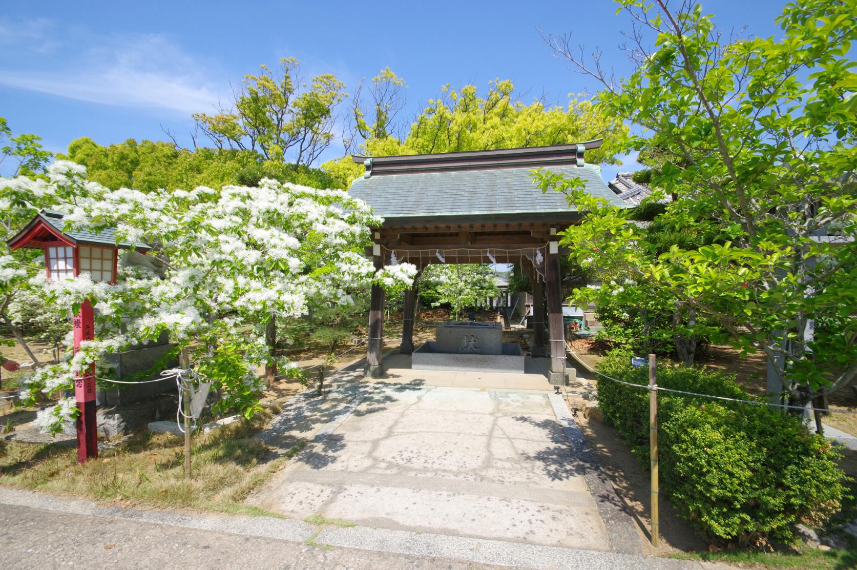 冈朱神社-5