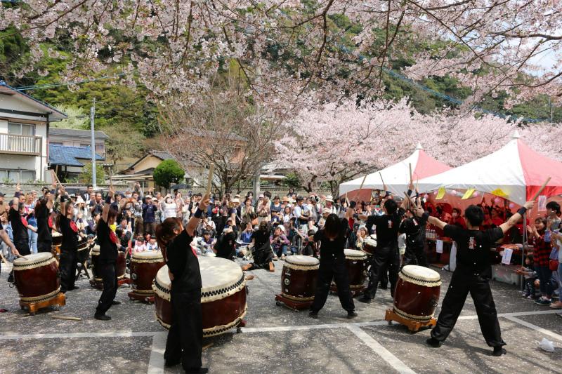 ひさやま猪野さくら祭り-1