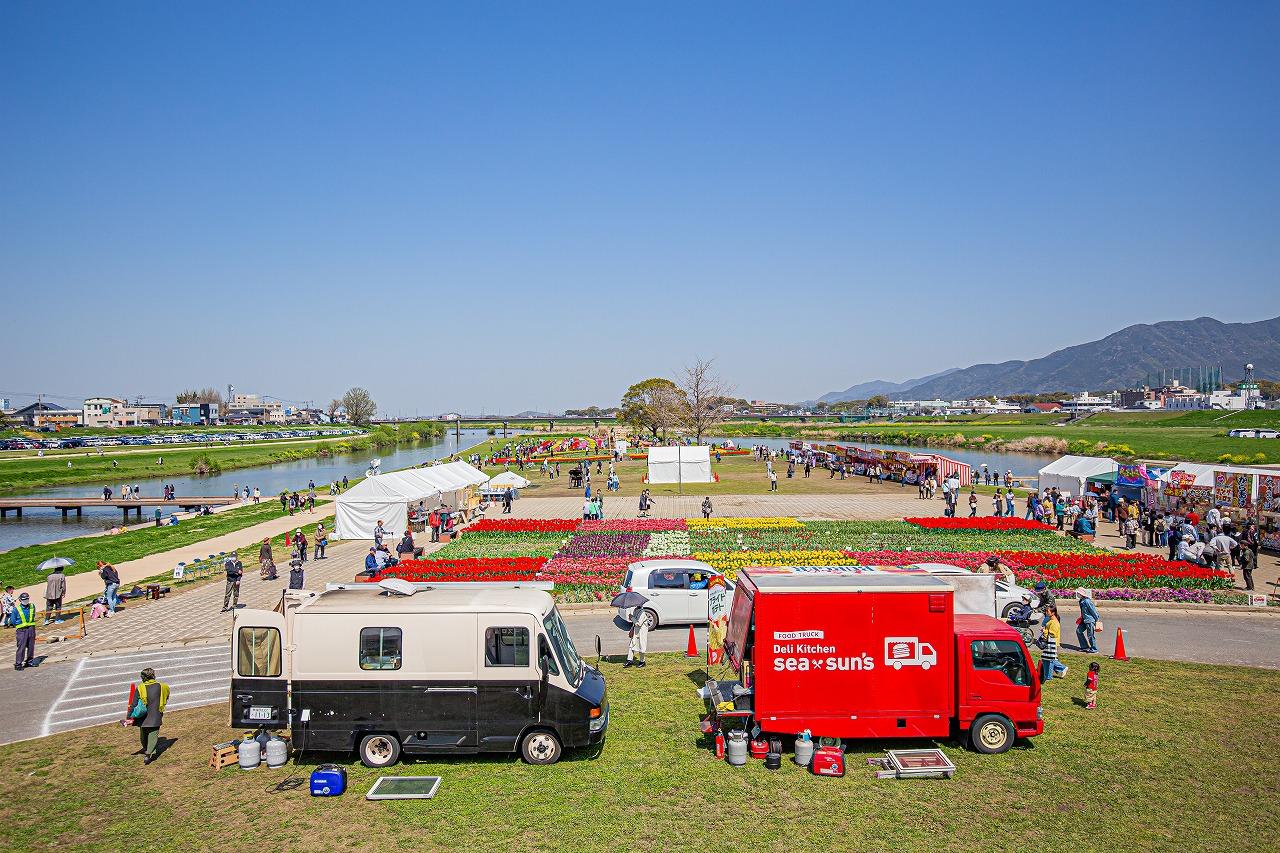 Nogata Tulip Fair 2025-2