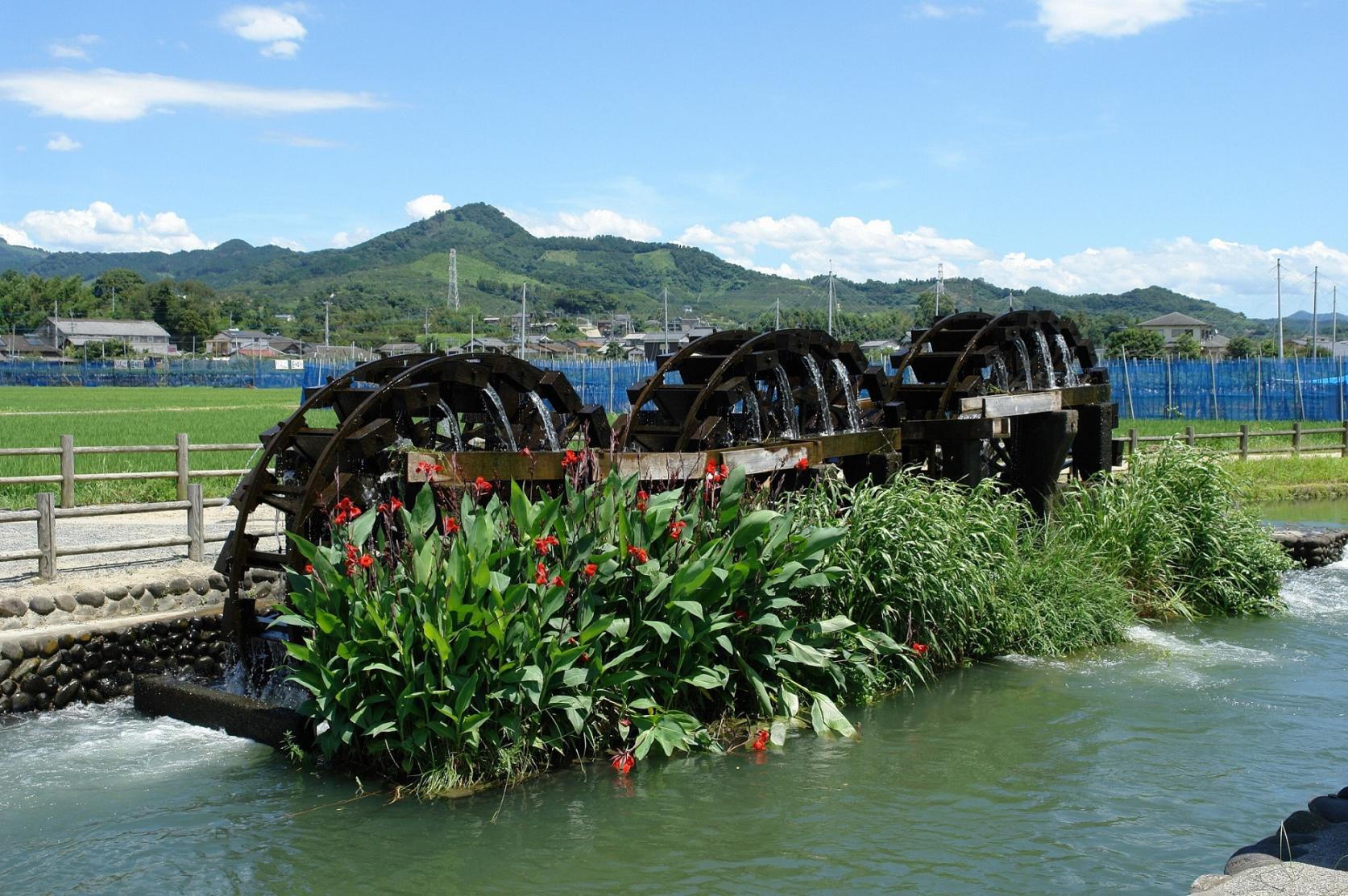 朝倉の三連水車の稼働（山田堰通水式）-9