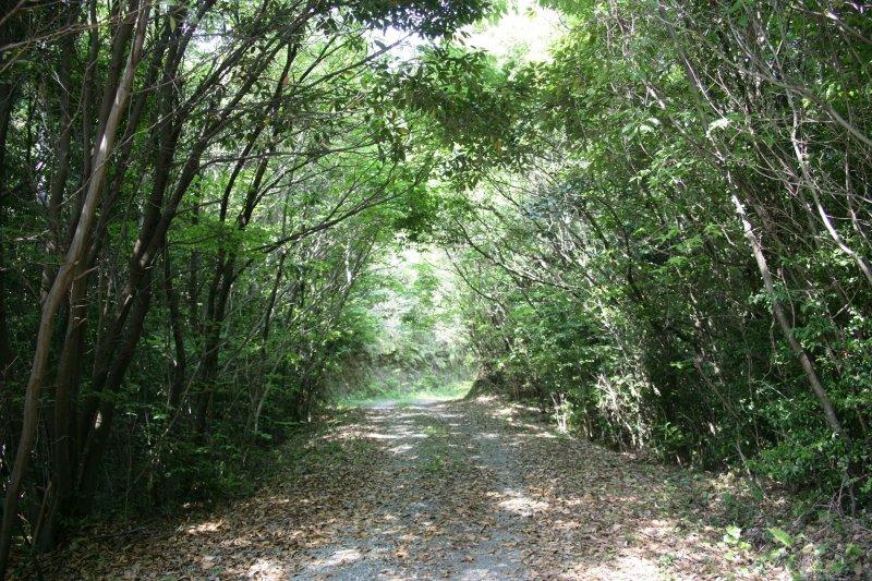 森林浴基地（黑木町）