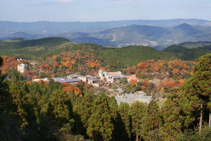 삼림세라피 기지(구로기마치)-2