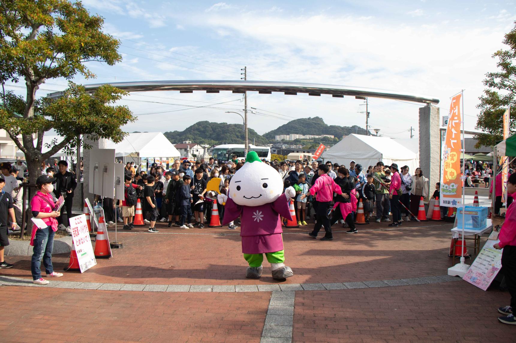 水巻町コスモスまつり-4