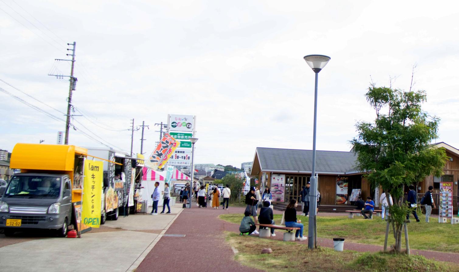 水巻町コスモスまつり-1