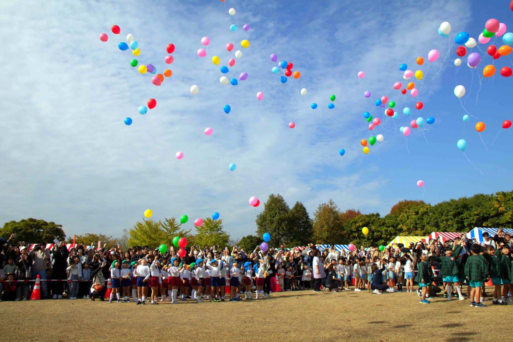 水巻町コスモスまつり-5