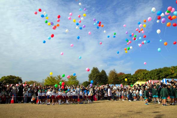 水巻町コスモスまつり-5