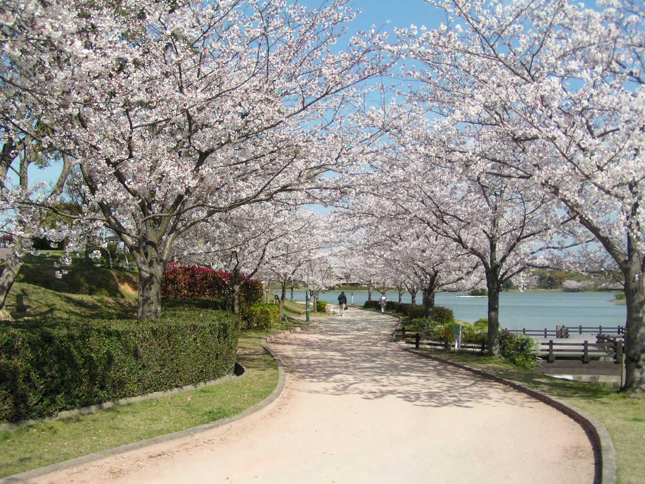 Kayoicho Park