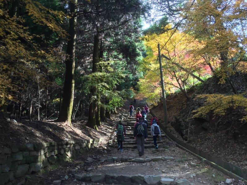 九州健行路线  久留米・高良山路线-4