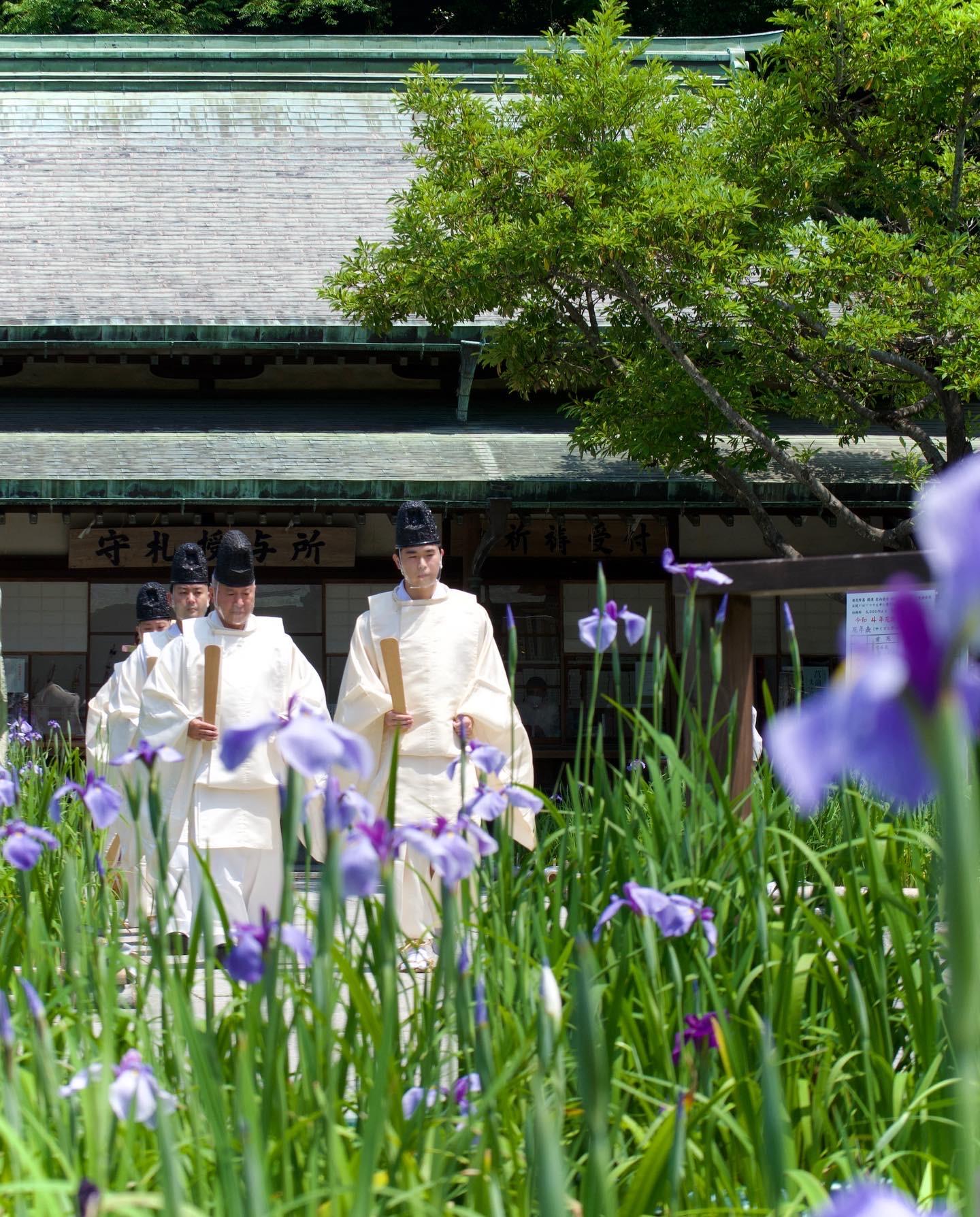 江戸菖蒲初刈り神事（宮地嶽神社）-1