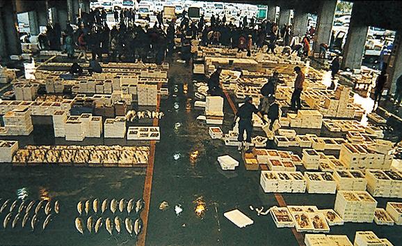 行橋市魚市場