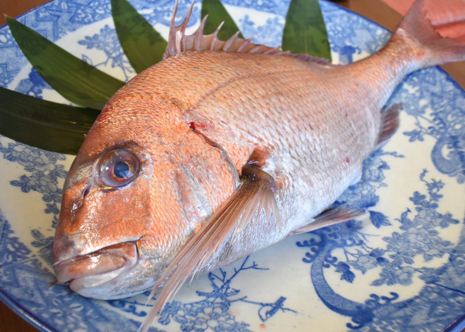 ふくつの鯛茶づけフェア-1