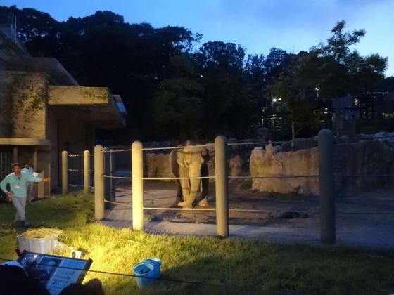 夜の動植物園-3