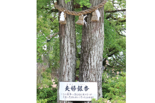 山王宮　日吉神社（小郡）-2