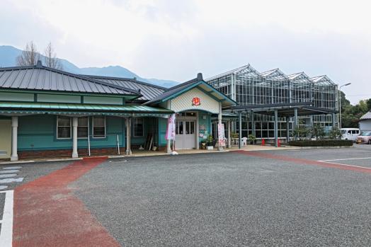 Kurume City International Camellia Garden-3