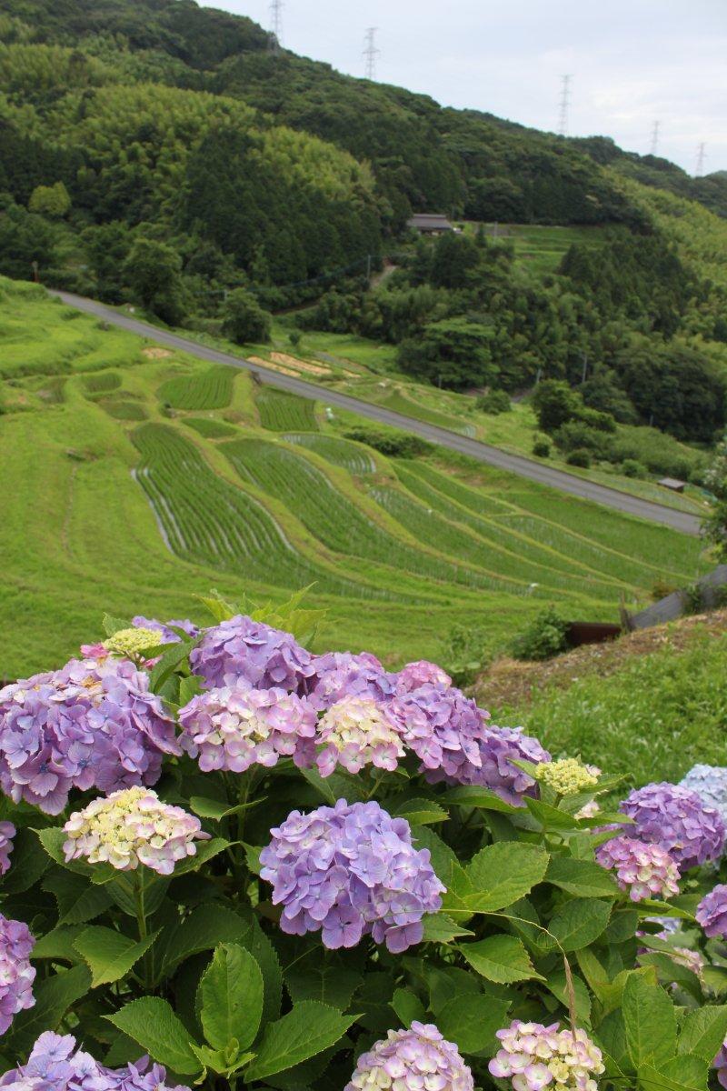 苅田ガイドの会-1