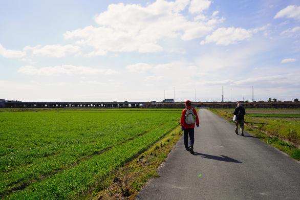 九州偶來 三山・清水山路線-2