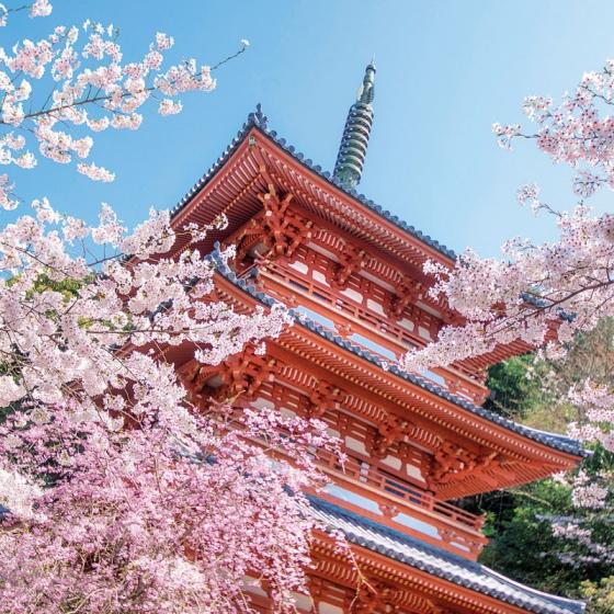 Kyushu Olle, Miyama/Mt. Kiyomizu course-0