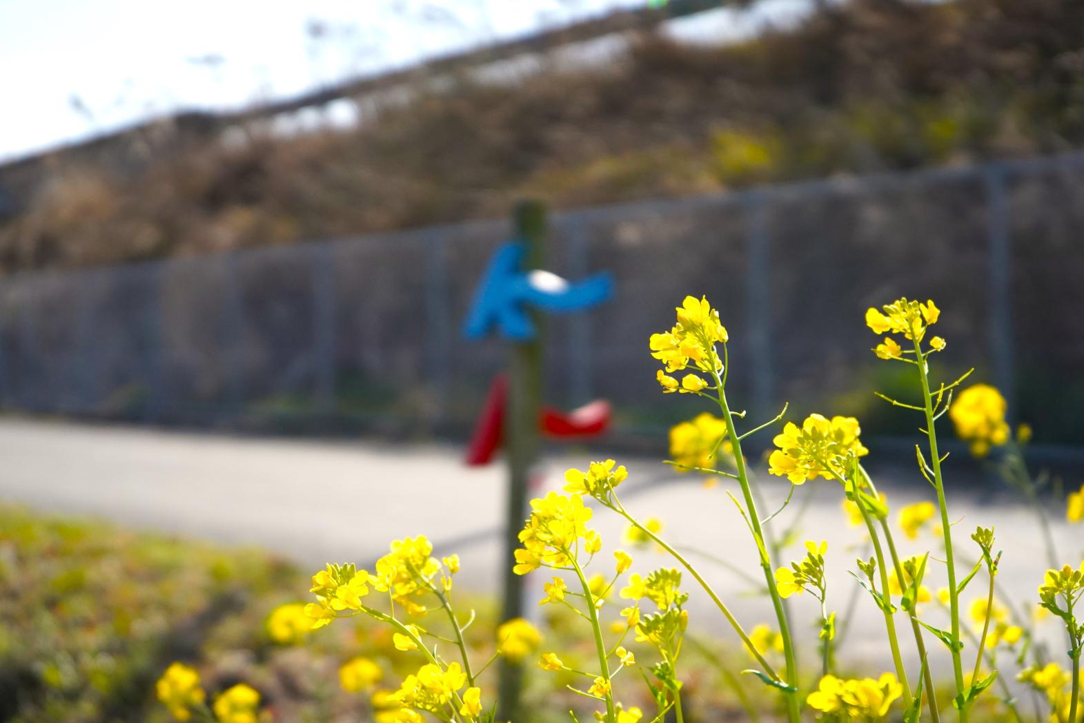 九州偶來 三山・清水山路線-1
