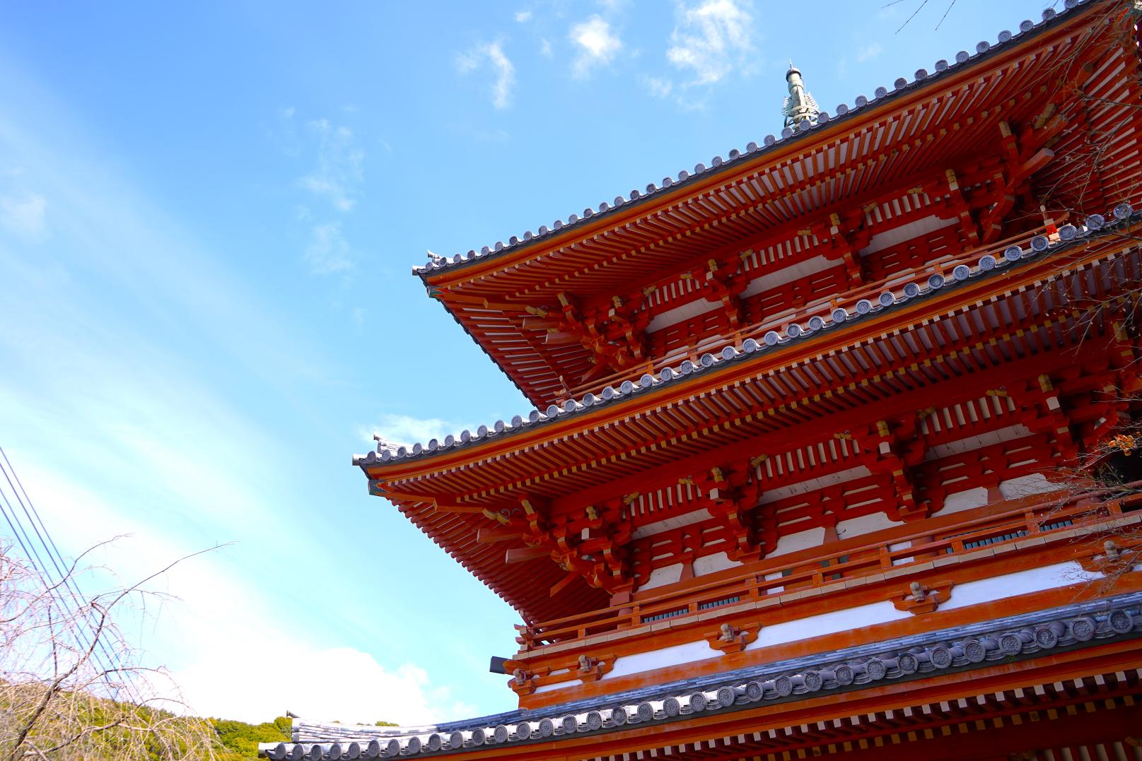 九州偶來 三山・清水山路線-9