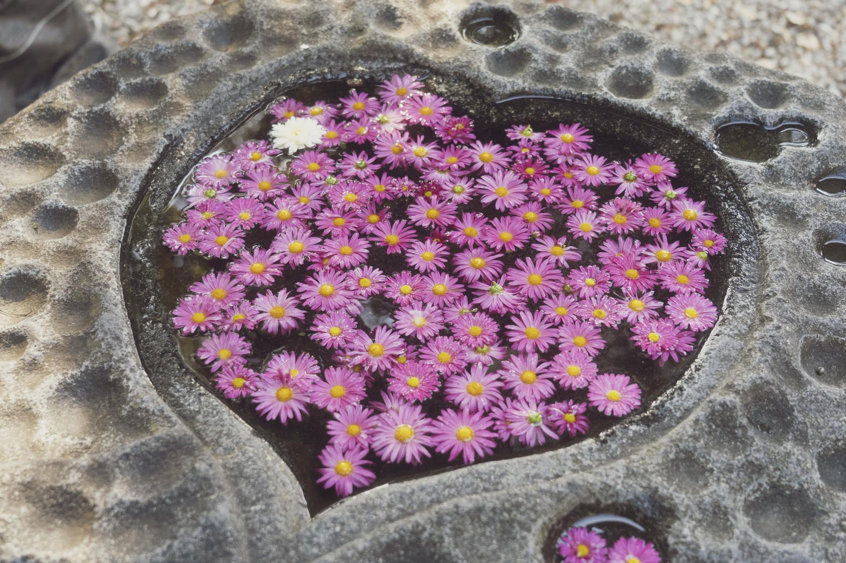 心型良緣洗手鉢