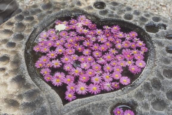 心型良缘洗手鉢-0