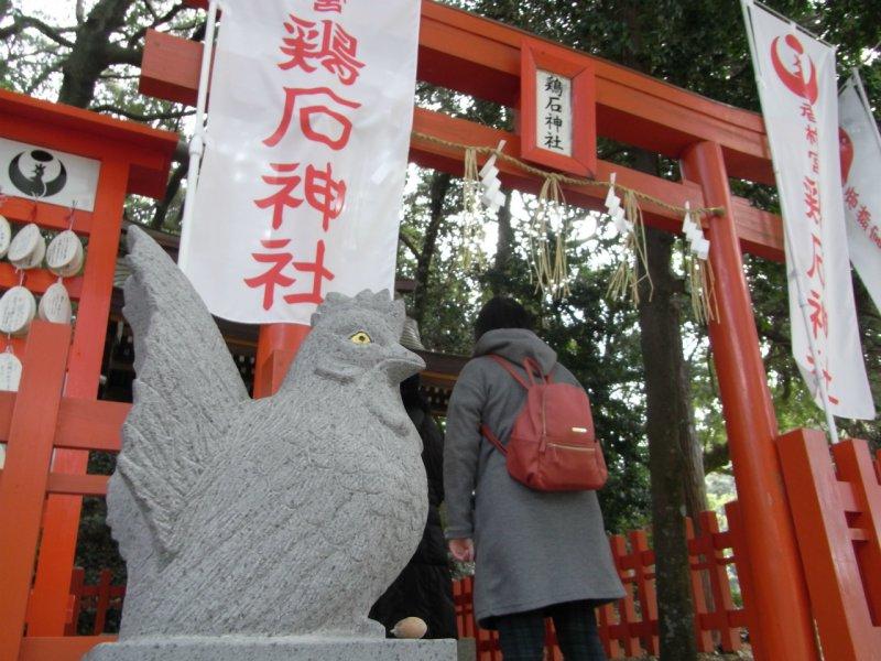 對夜哭有益處的雞石神社