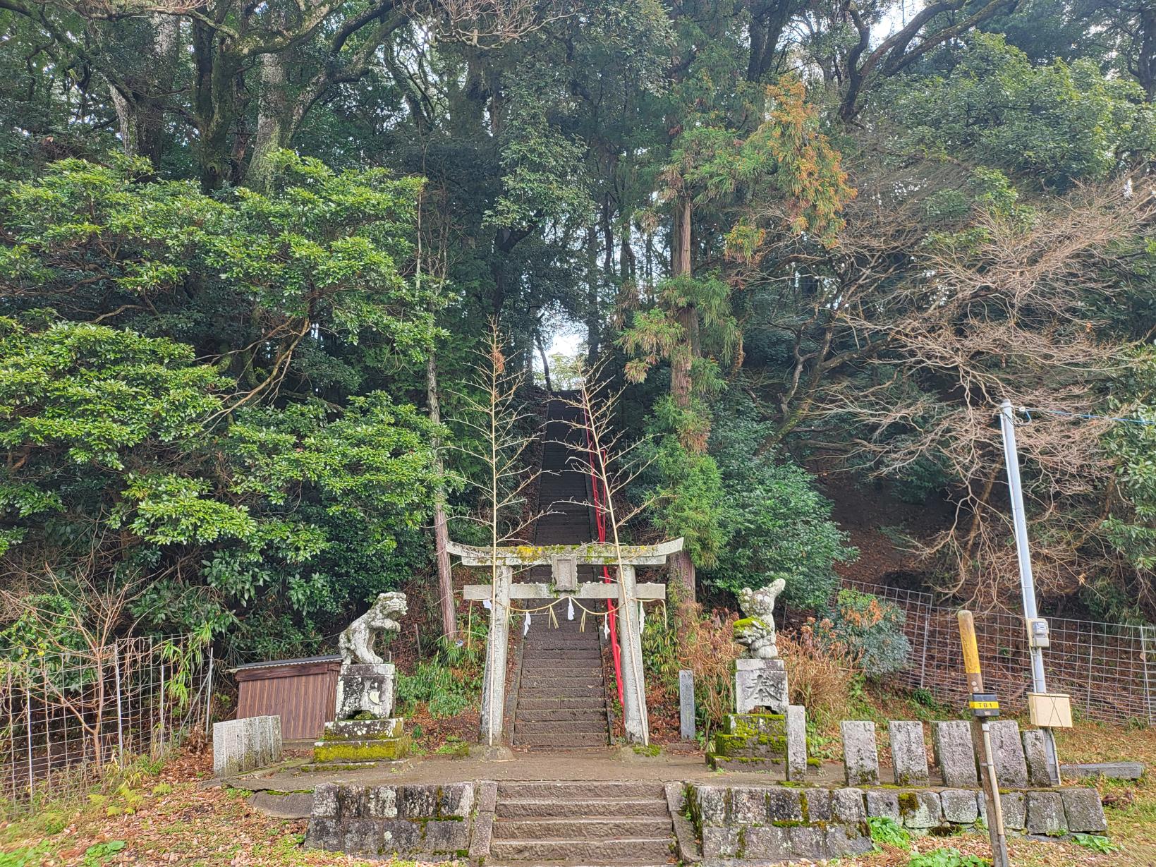 경내를 달리는 전차-4