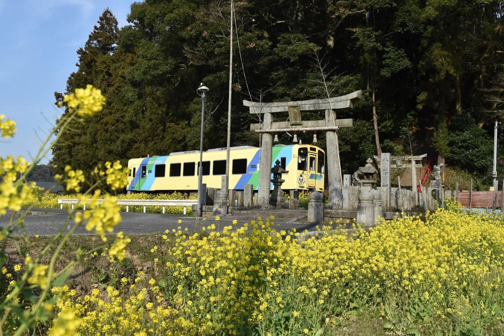 Amazon｜サントリー 山崎 ハイボールタンブラー（ステンレス