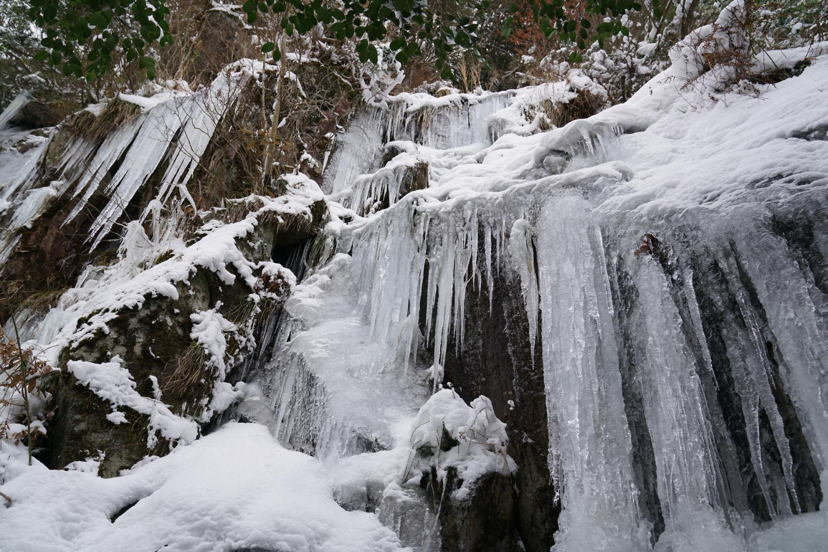 The Great Icicle of Kawaradani (a.k.a. Nanshogataki Waterfall)-3