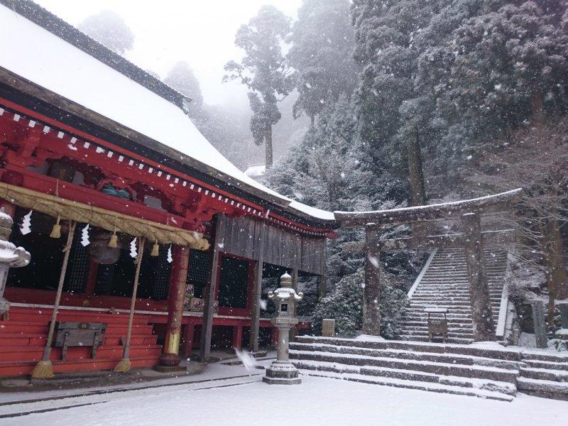 Beautiful frost-covered trees in winter at Mt. Hikosan