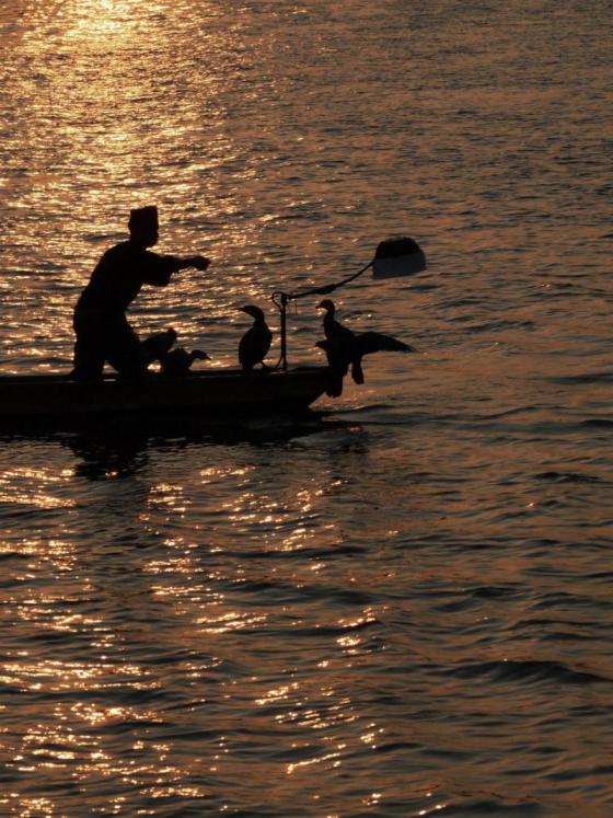 Harazuru’s Summer Seasonal Scenery  Ukai Fishing-0