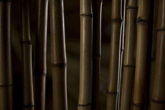 日本伝統の高級な竹製釣り竿-2