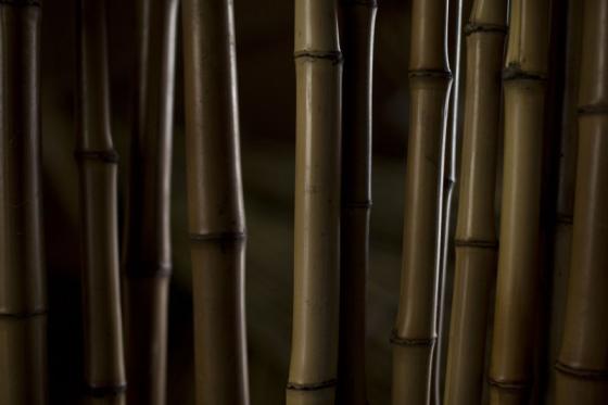 Traditional Japanese high-quality bamboo fishing rods-2