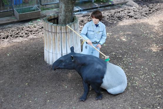 福岡市動植物園　飼育の日-1