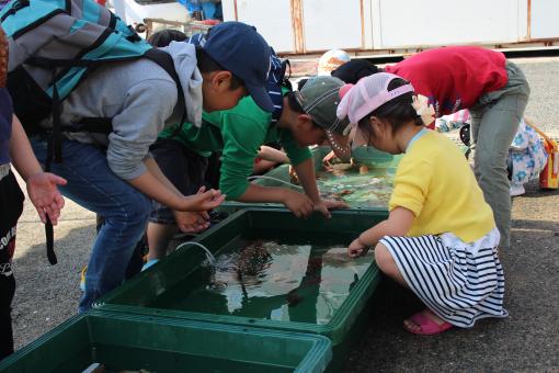 相島！春フェスタ-1
