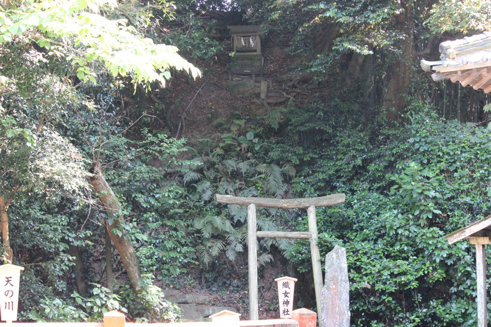 天之川傳說的大島織女神社、牽牛神社-1