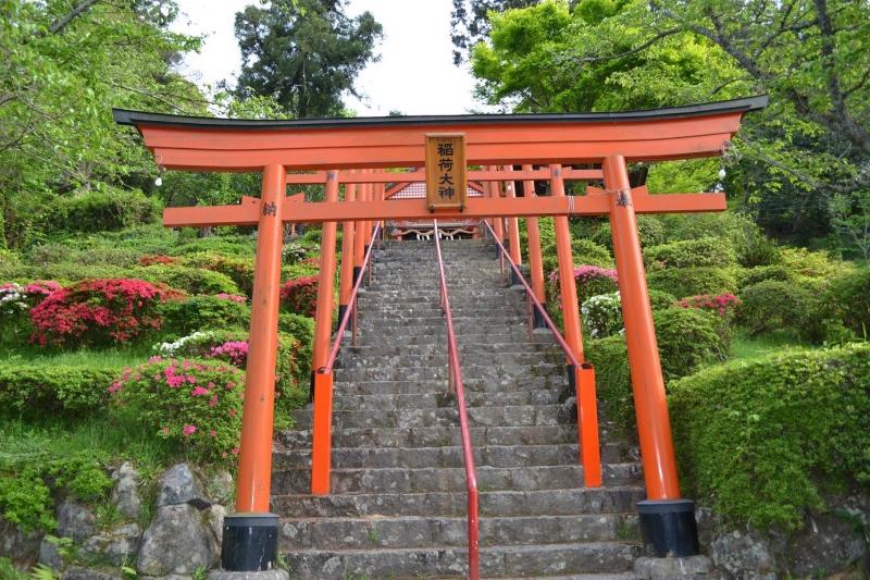 The extending torii gate and amazing view are something to see at Ukiha Inari Shrine-5
