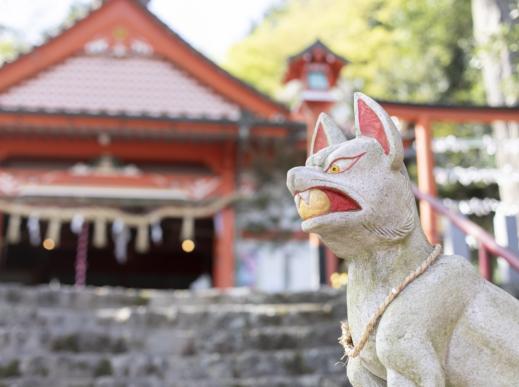 The extending torii gate and amazing view are something to see at Ukiha Inari Shrine-3